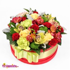 What shall I call you - colorful flower box M